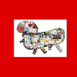 NOVETATS: desembre 2018