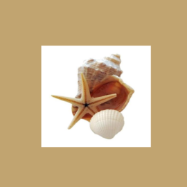 NOVETATS: agost 2019