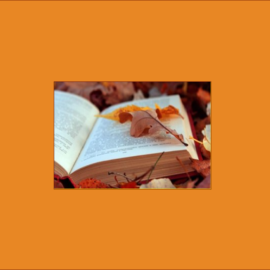 NOVETATS: octubre 2019