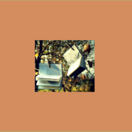 NOVETATS: novembre 2019