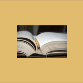 NOVETATS: SETEMBRE 2020