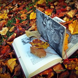 NOVETATS NOVEMBRE 2021